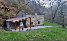 La Cabaña del Río